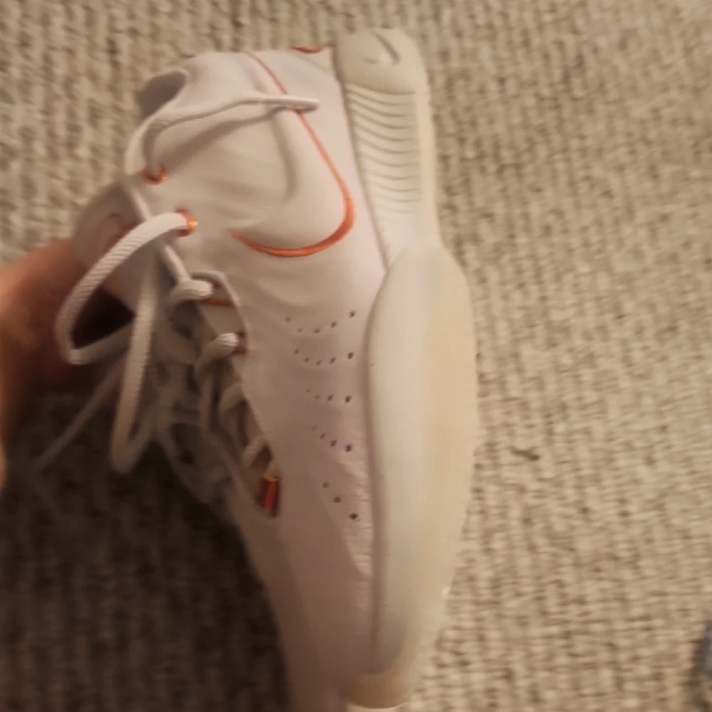 Nike LeBrons 21 Akoya Sneakers Size 10